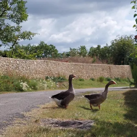 Vendégház Lov' Estafette Condom